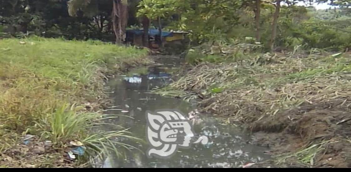 Pobladores de Nuevo Teapa desazolvan canal de aguas negras  