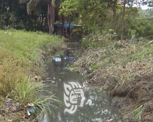 Pobladores de Nuevo Teapa desazolvan canal de aguas negras  
