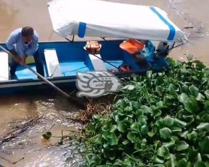 Riesgo de inundación en Hidalgotitlán; lancheros batallan con lirio