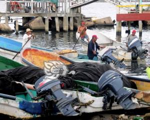 SEMARNAT atenderá problemáticas que dañan a pescadores en el Golfo
