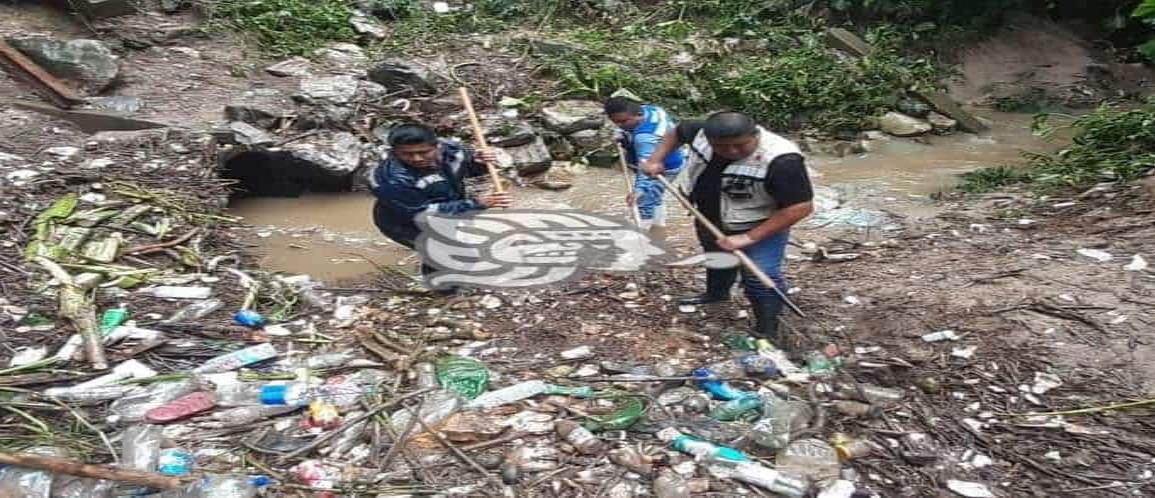 Desazolvan la zona del “Chorrito” para evitar inundaciones en Oteapan