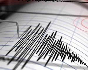 ¡Veracruz se mueve! Reportan sismo magnitud 4.1 grados