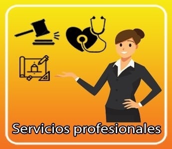 Servicios Profesionales