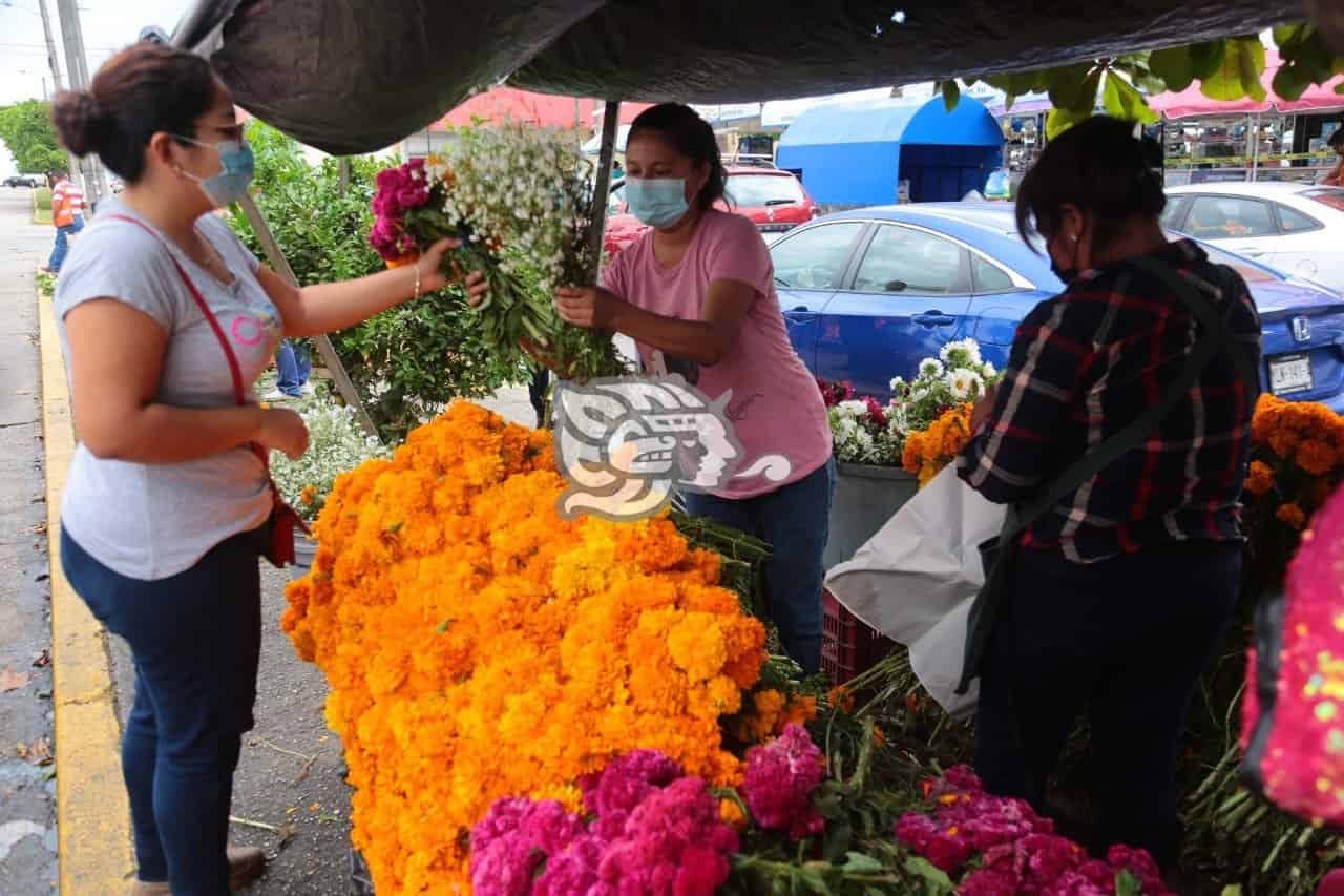 Colores del cempasúchil y de la “mano de león” adornan Coatzacoalcos