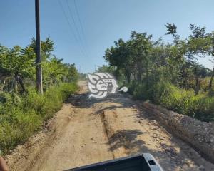 Unidades pesadas mantienen en pésimas condiciones camino en Moloacán 
