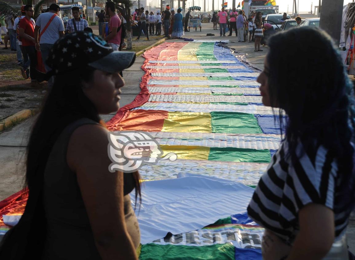 ONG respalda propuesta de matrimonio igualitario en Veracruz de Morena