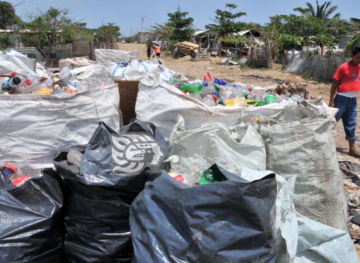 Más de 19 toneladas de residuos no llegaron al tiradero gracias al reciclaje