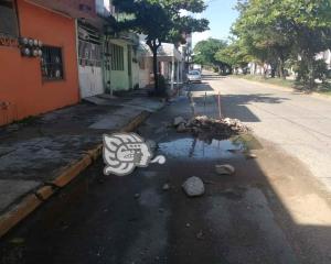 Vecinos reportan fuga de agua en Malpica entre Allende y Guerrero