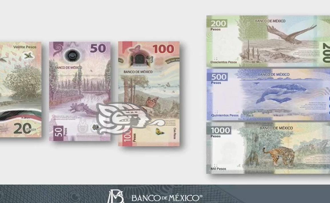 Estos son los nuevos billetes y monedas que llegaron a México en 2021