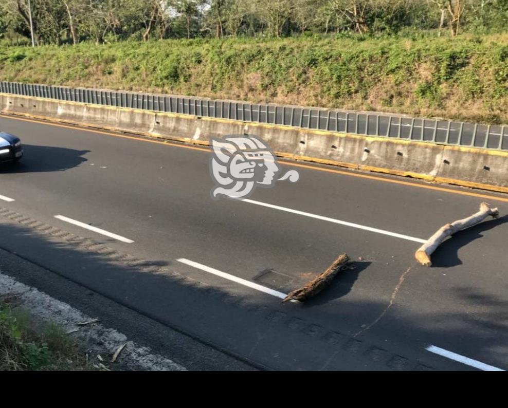 Movilización por intento de asalto en autopista de Acayucan
