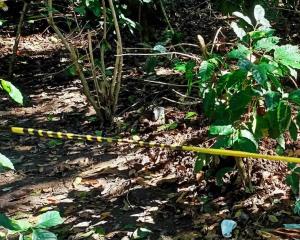 Confirma FGE hallazgo de cadáveres inhumados en Jamapa y Medellín