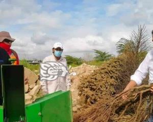 Programa Recicla Tú Navidad, con buena respuesta en Minatitlán
