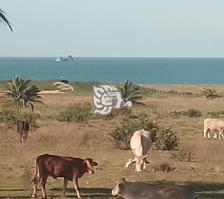 Piden a Sedema intervenir contra descargas en costas de Coatzacoalcos