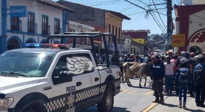 Ladrones de vacas, a punto de ser linchados por habitantes de Las Vigas