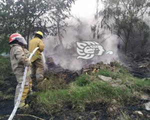 Incendios han dañado más de mil hectáreas; 75 municipios con sequía en Veracruz
