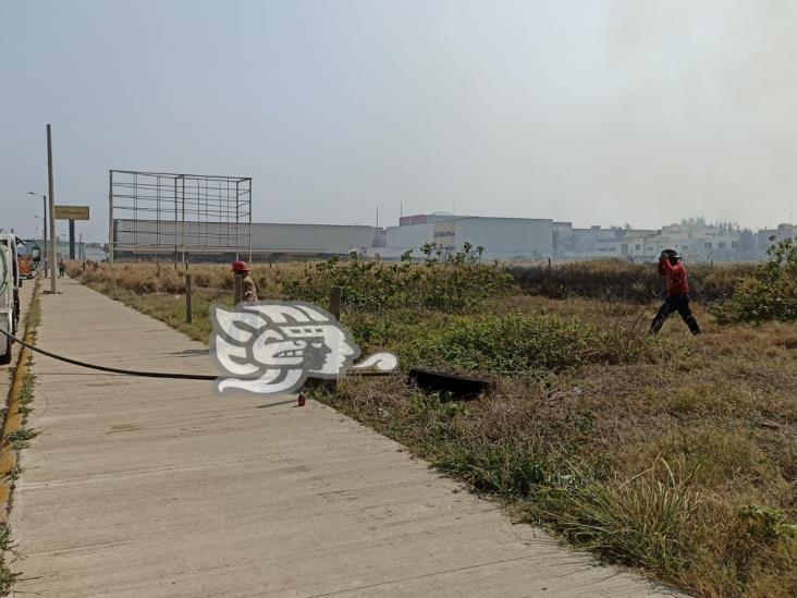 Incendio de pastizal se extendió en terreno baldío en Coatzacoalcos