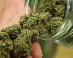 SCJN declara inconstitucional penalizar posesión de mariguana