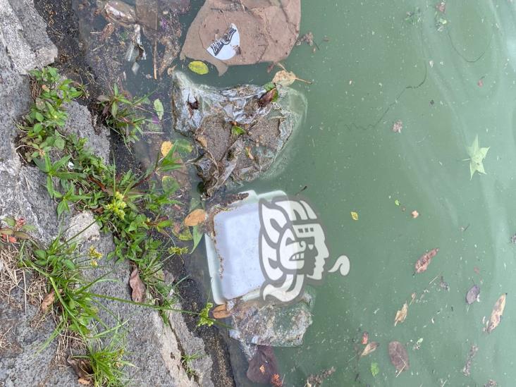 Lagos de Xalapa, contaminados hasta con guantes y cubrebocas