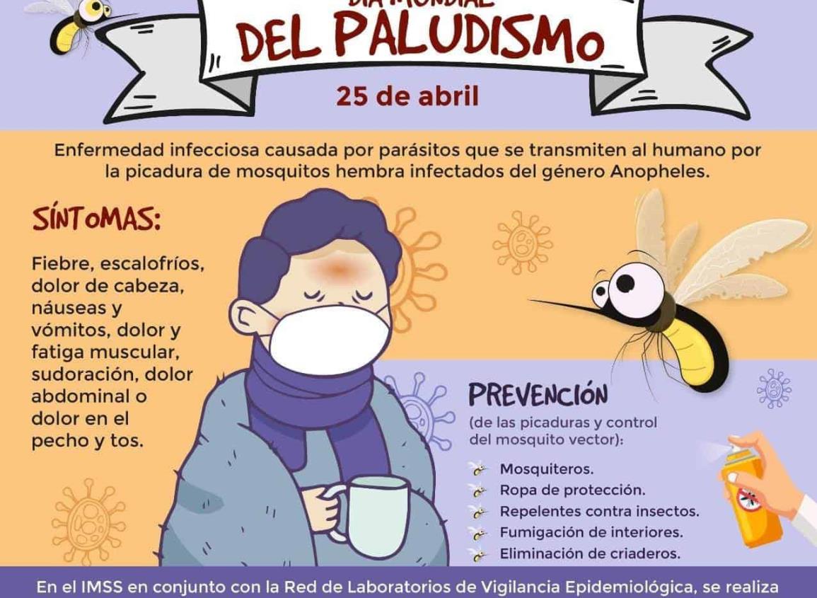 Pide IMSS Veracruz Sur estar alertas ante síntomas de Paludismo