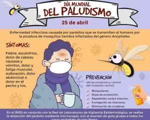 Pide IMSS Veracruz Sur estar alertas ante síntomas de Paludismo