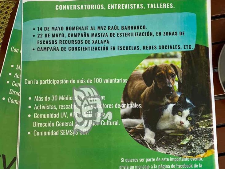 Domingo 22 de mayo, campaña de esterilización masiva y gratuita en Xalapa
