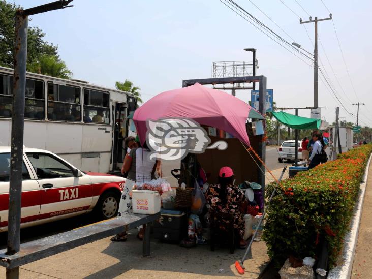 Inservibles parasoles metálicos en la ciudad; piden mantenimiento