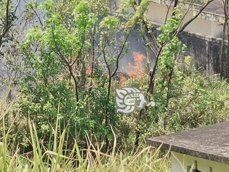 Falta de agua atrasa atención de incendios en Nanchital