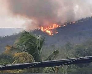 Incendio sin control se extiende en Apazapan; habitantes piden ayuda