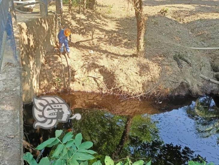 Tras fuga de crudo, reportan mortandad de flora y fauna en Las Choapas