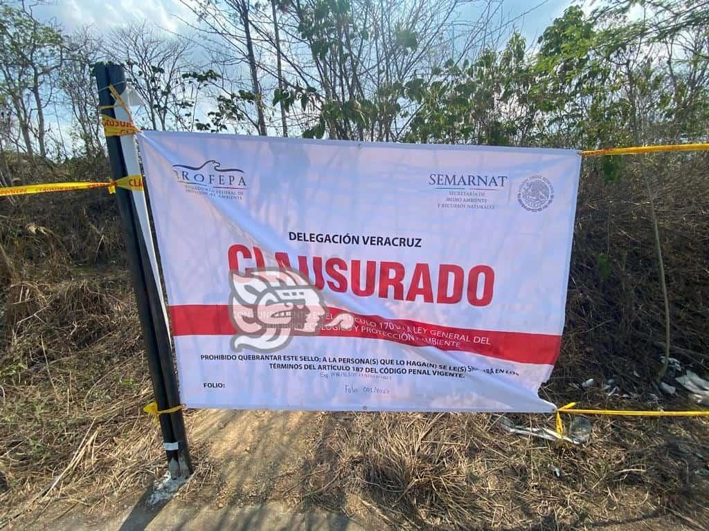 Habría sanciones a grupo Fernández-Chedraui por Plaza Imperial en Xalapa