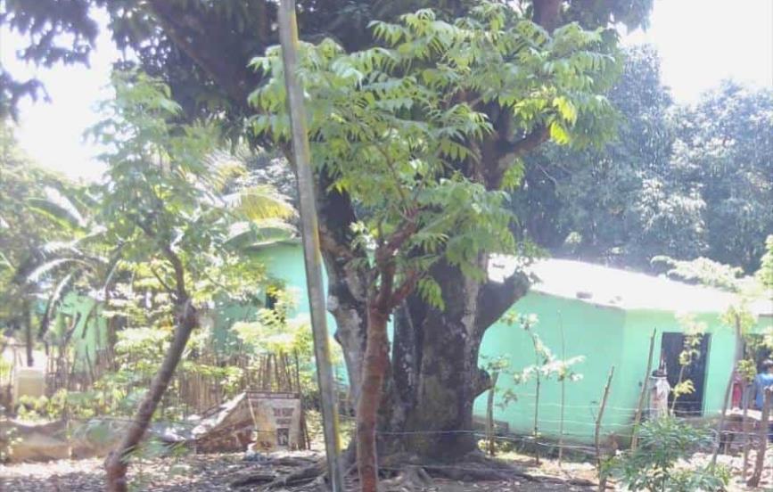 Hombre muere tras presuntamente caer dentro de su vivienda en San Andrés Tuxtla
