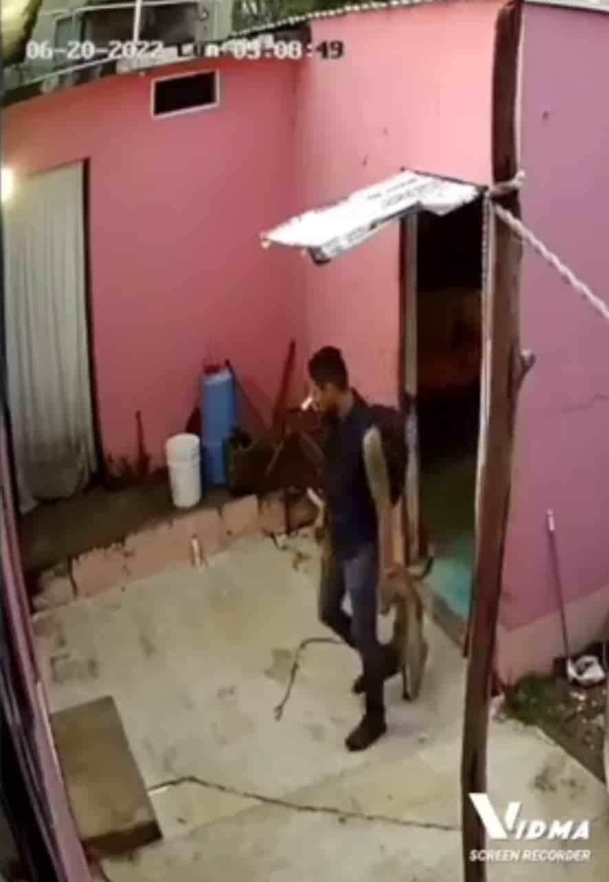 Ladrón es captado por cámaras de seguridad robando en un domicilio