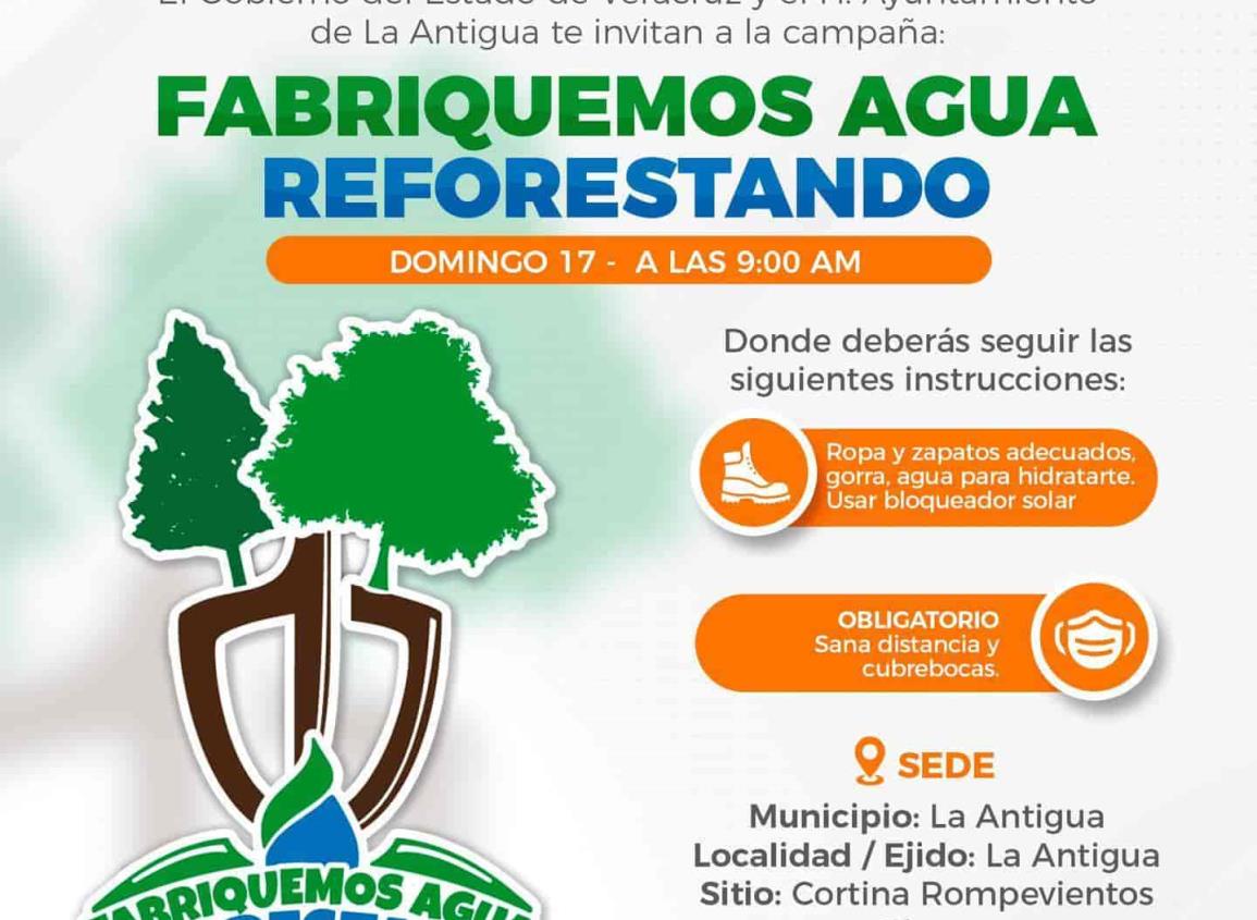 En La Antigua, realizarán Jornada de Reforestación ´Fabriquemos Agua Reforestando´