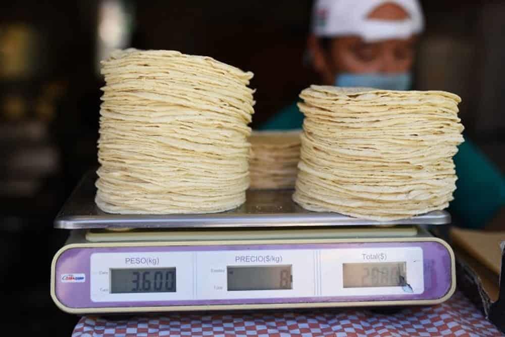 Familias veracruzanas reducen consumo de tortillas; ventas van a la baja