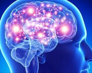 Día Mundial del Cerebro: sus 8 principales funciones