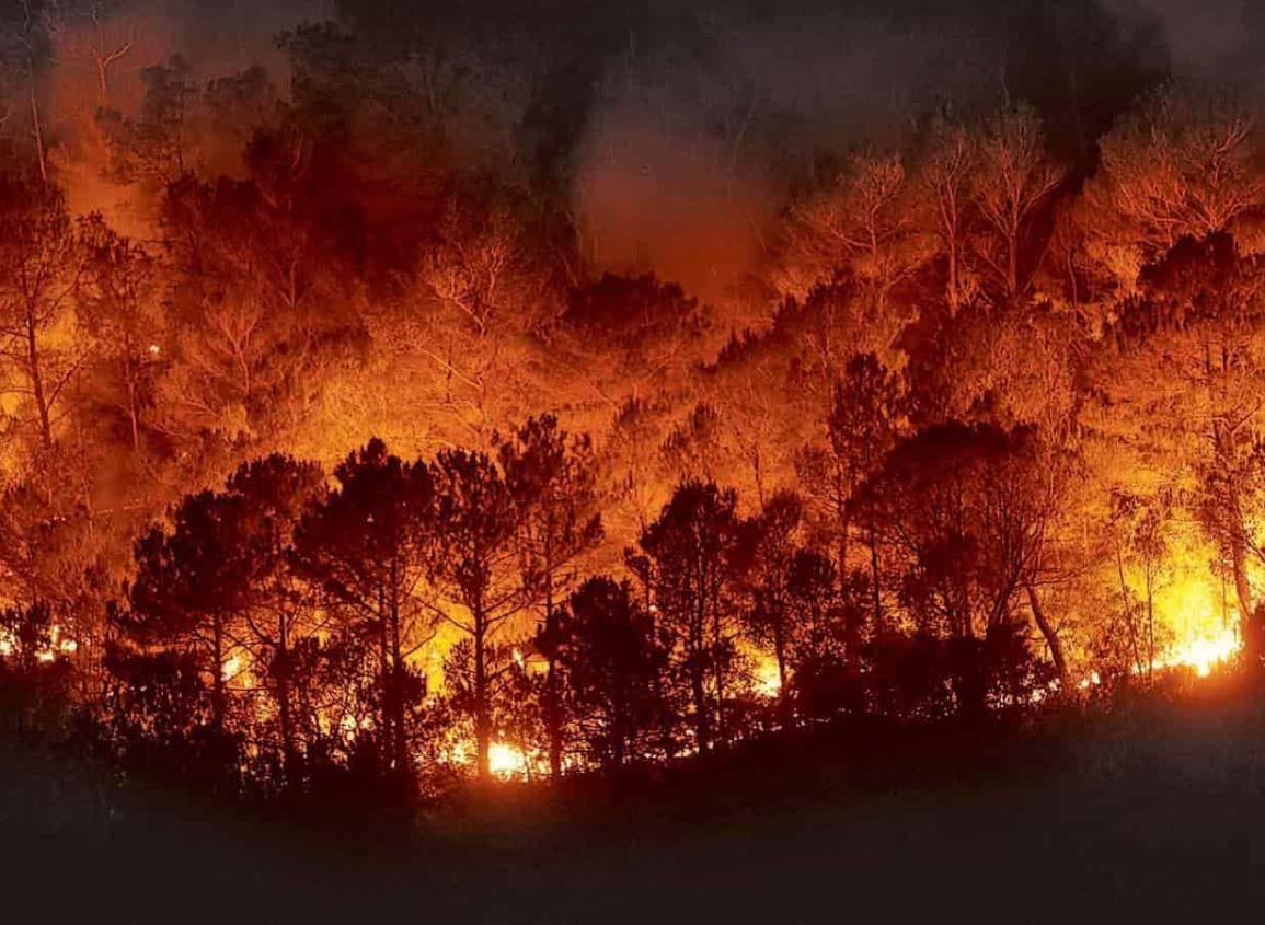 Alaska arde como nunca antes por incendios forestales