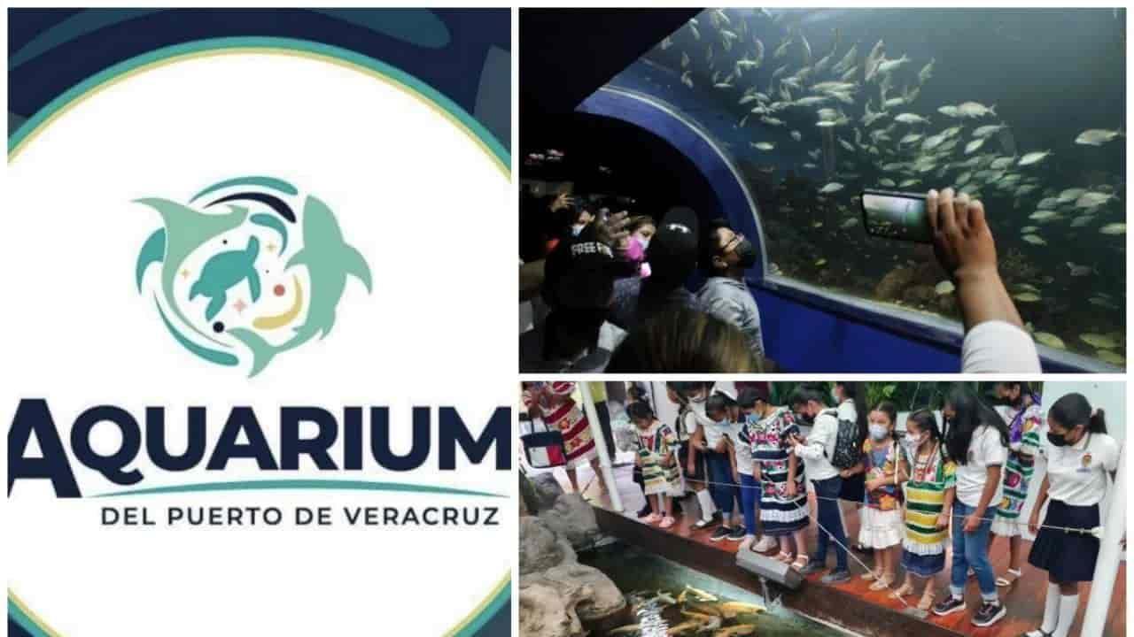 Aquarium del Puerto de Veracruz rompe récord al asistir casi 7 mil visitantes durante Buen Fin
