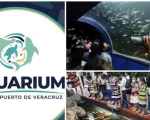 PMA convocará a estudiantes de arquitectura para remodelación de Aquarium de Veracruz