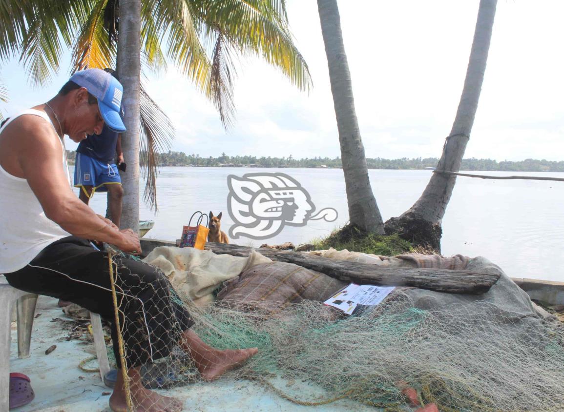 Pescadores de Tonalá y el Muelle, atraviesan su peor crisis