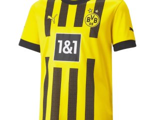 Apenas triunfa Dortmund sobre Bayer
