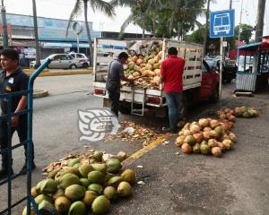 Desde Tabasco, llegan los cocos a Coatzacoalcos