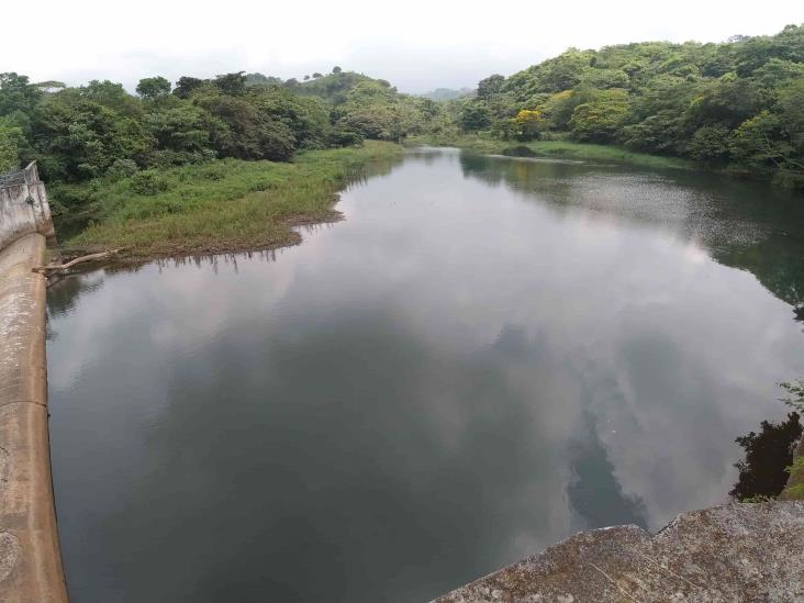 Buscarán reforestar orillas de 8 ríos en Tatahuicapan