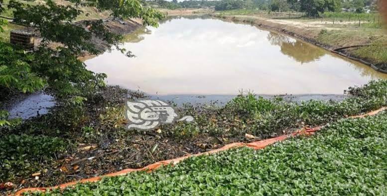 Pemex sin concluir remediación de derrames de hidrocarburos en Las Choapas