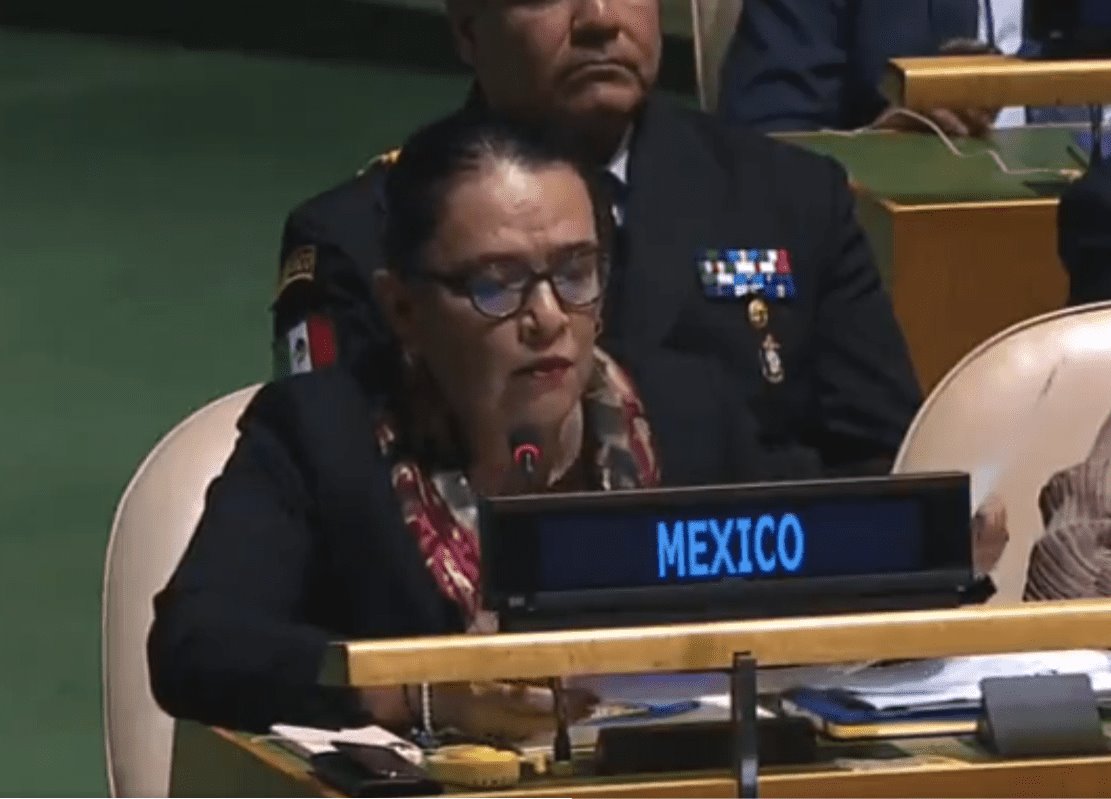 Video: “No venimos a ganar una guerra, venimos a ganar la paz” Rosa Icela en la ONU