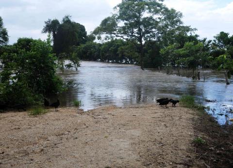 Alerta de PC por crecida de ríos en el sur tras temporal de lluvias