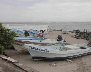 ¡En picada! Ingresos de pescadores en Veracruz por frente frío