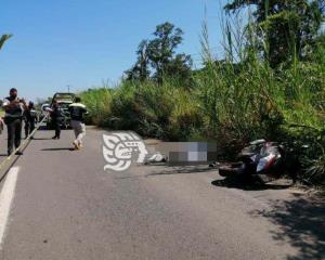 Chofer pierde la vida tras derrapar sobre la carretera Sayula-Acayucan