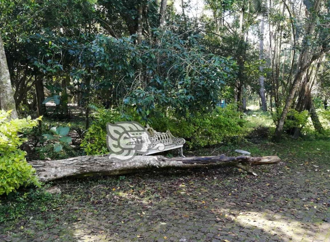 Parque ‘La Alameda’, de Xalapa, en completo abandono; vecinos urgen atención