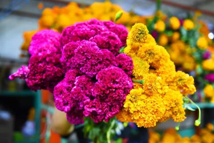 Bajan ventas de flores en panteones de Veracruz