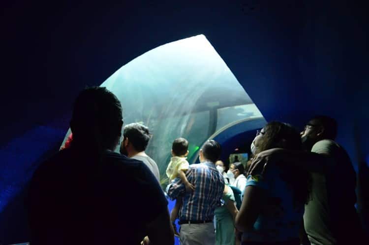 Abarrotan el Aquarium de Veracruz en otro martes de acceso gratuito